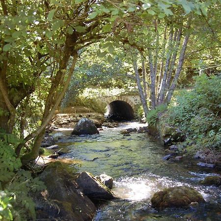 Chambres D'Hotes A L'Etang D'Yonne Arleuf Zewnętrze zdjęcie
