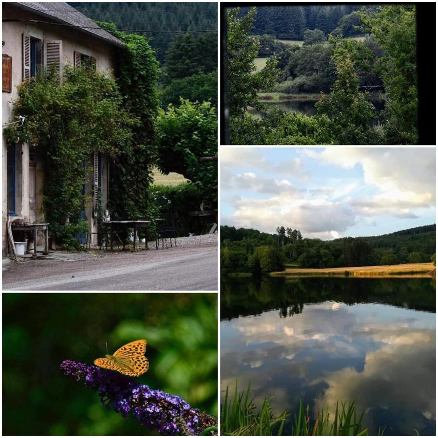 Chambres D'Hotes A L'Etang D'Yonne Arleuf Zewnętrze zdjęcie